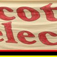 Elections 2017 - Abstention consciente/Boycott